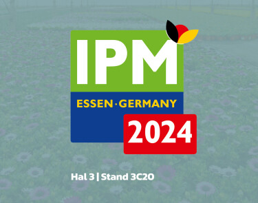 2023-10-18_VTH_sjabloon-nieuws-IPM-hal.jpg