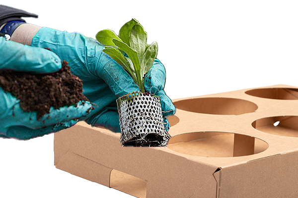 Kliktray + plantpaper.png