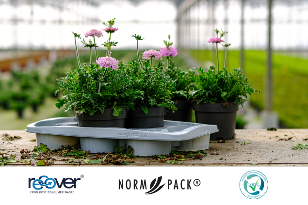 Recover normpack tray