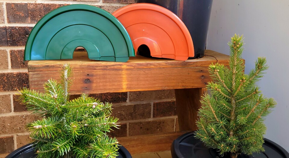 PotHead_display_with_tree_2