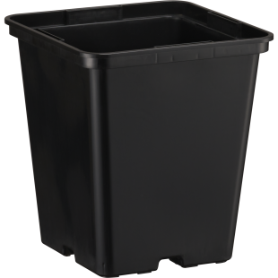20203_e102_front_1