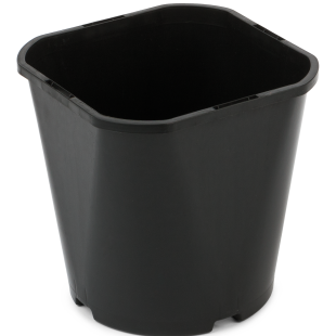 20305_000_front_1