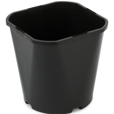 20305_000_front_1