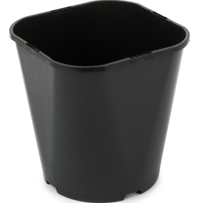 20307_000_front_1