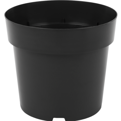 401011_000_front_1