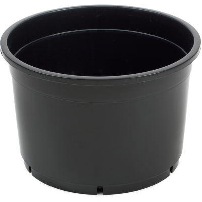 41507_e102_front_1