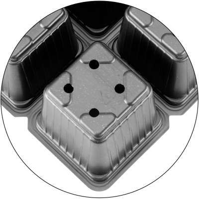 36455_000_bottom_1