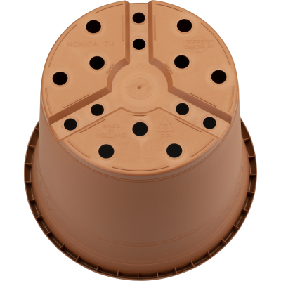 170 MON_e501_bottom_1