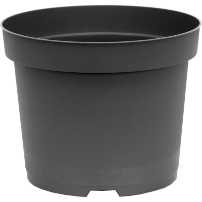 210 SC4_e101_front_1