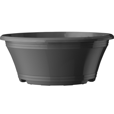 230 LIS_e101_front_1
