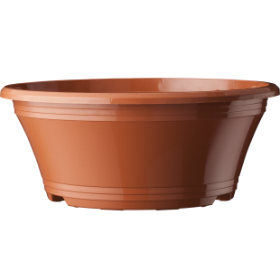 230 LIS_e501_front_1