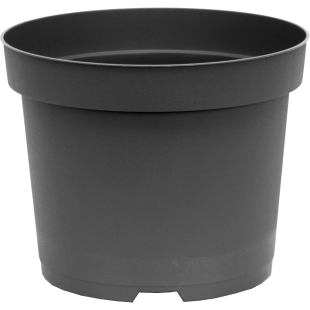 230 SC5_e101_front_1