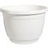 250 ANN_002_front_1