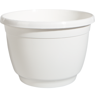 250 ANN_002_front_1