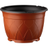1705353_003_front_1