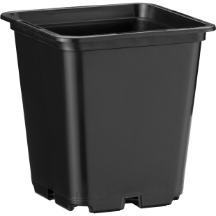 20202_000_front_1