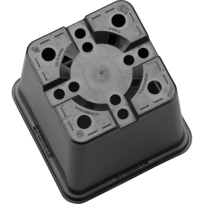 20204_000_Bottom_1