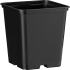 20204_000_front_1