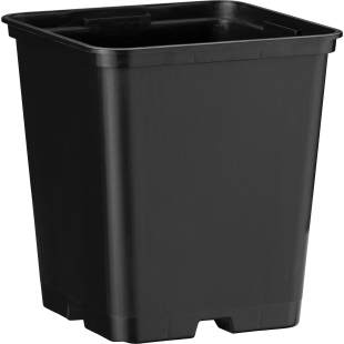 20204_000_front_1