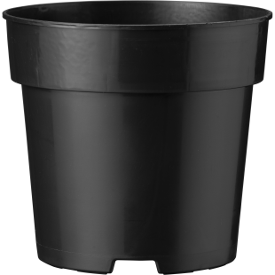 40101_000_front_1