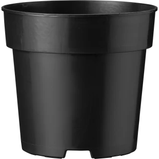 40101_000_front_1