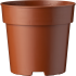 40101_919_front_1