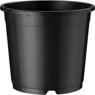 40301_000_front_001