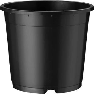 40301_000_front_001