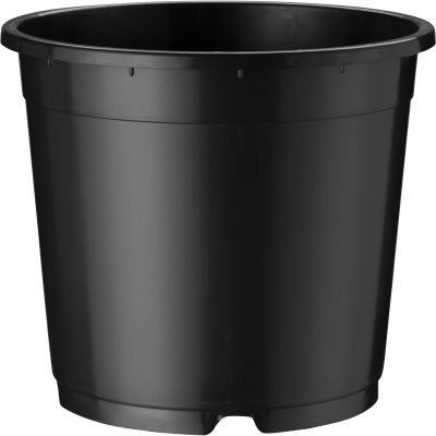 40301_000_front_001