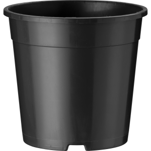 40401_000_front_001