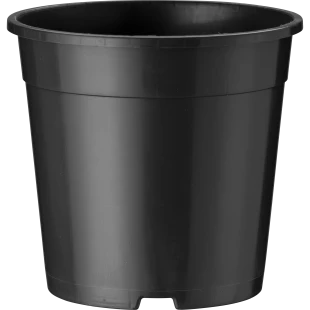 40401_000_front_001