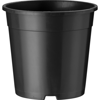 40401_000_front_001