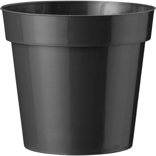 40501_000_front_1