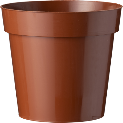 40501_919_front_1