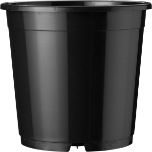 40808_000_front_1