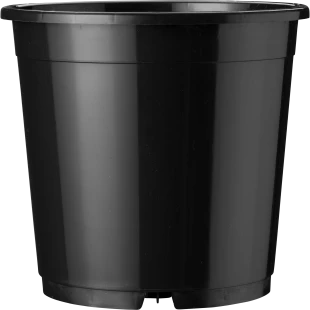 40808_000_front_1