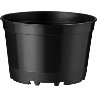 40901_000_front_001