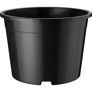 41501_000_front_001