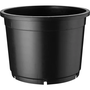 41504_000_front_001