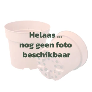 2023-10-26_VTH_sjabloon-geen-foto-potten2.jpg
