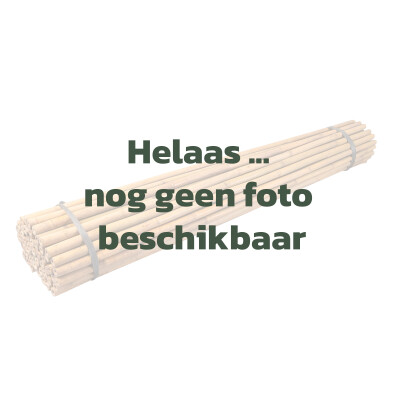 2023-10-26_VTH_sjabloon-geen-foto-ondersteuningsmateriaal