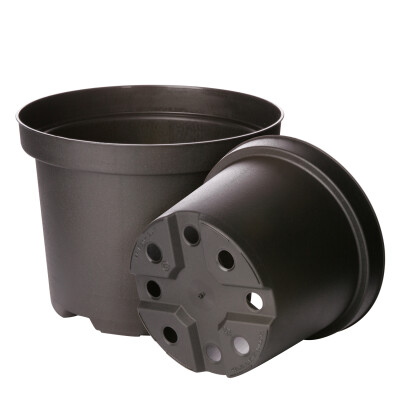 KP-Container 2 liter