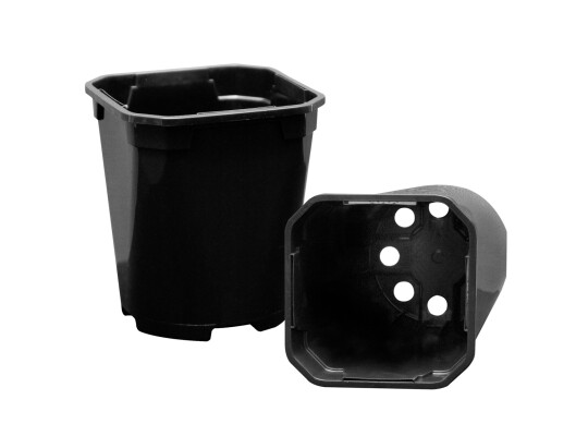 KSR-1 ltr. 1