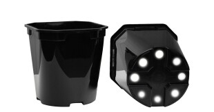 KSR-Containers 2 liter