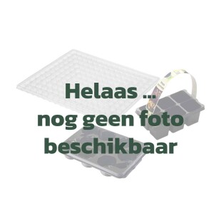 2023-10-31_VTH_sjabloon-geen-foto-Productcategorie-trays.jpg