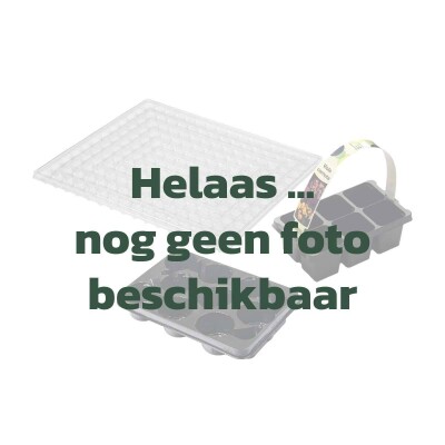 2023-10-31_VTH_sjabloon-geen-foto-Productcategorie-trays.jpg