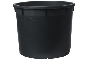 Mastelli-Jumbo-R