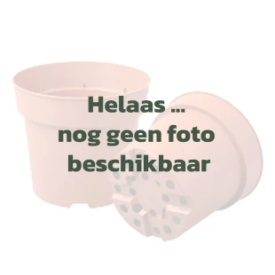 2023-10-26_VTH_sjabloon-geen-foto-potten2 (1).jpg