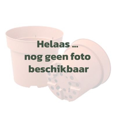 2023-10-26_VTH_sjabloon-geen-foto-potten2 (1).jpg
