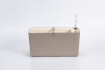 Berberis 40 19097440 - Taupe beige